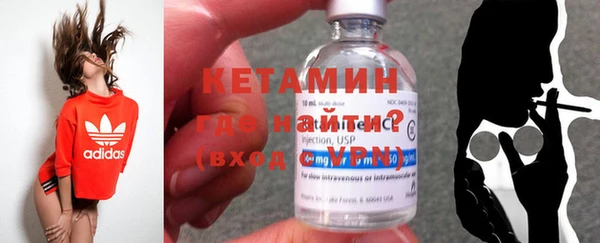индика Коряжма