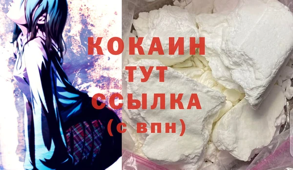 индика Коряжма