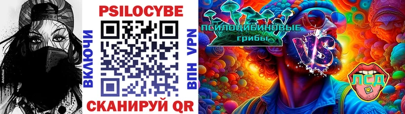 Галлюциногенные грибы Magic Shrooms  Курганинск 