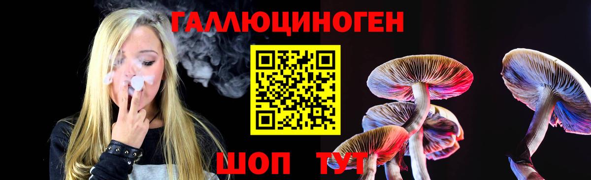 Псилоцибиновые грибы Magic Shrooms  Вход с VPN  Курганинск  Галлюциногенные грибы GOLDEN TEACHER 